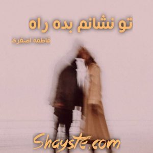 دانلود رمان تو نشانم بده راه به قلم فاطمه اصغری با لینک مستقیم