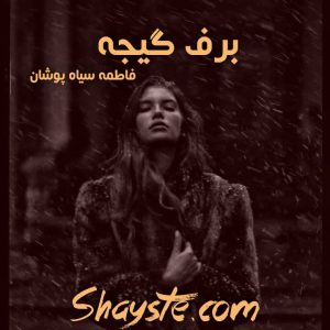 دانلود رمان برف گیجه به قلم فاطمه سیاه پوشان با لینک مستقیم