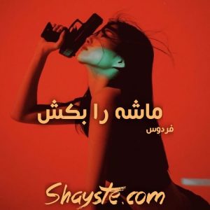 دانلود رمان ماشه را بکش (جلد اول از مجموعه شبحسواران) از مترجم فردوس با لینک مستقیم