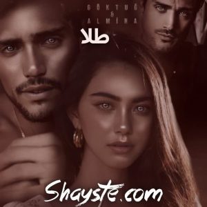 دانلود رمان طلا از خاطره خزائی با لینک مستقیم