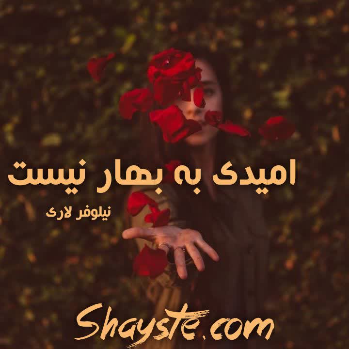 دانلود رمان امیدی به بهار نیست به قلم نیلوفر لاری با لینک مستقیم دانلود رمان امیدی به بهار نیست به قلم نیلوفر لاری با لینک مستقیم